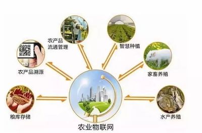 鄉(xiāng)村規(guī)劃設(shè)計(jì)丨中國(guó)農(nóng)業(yè)十大戰(zhàn)略布局 風(fēng)口、獨(dú)角獸與投資熱點(diǎn)深度解析